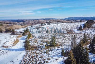 Oportunitate de investitie! 1,06 Hectare Teren Intravilan In Marisel - 6