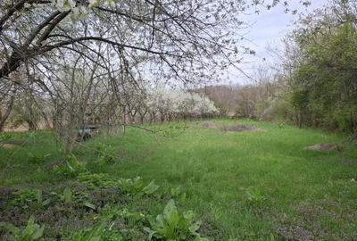 Casă cu 4 camere cu Teren 3850 Mp în Olanu - 3