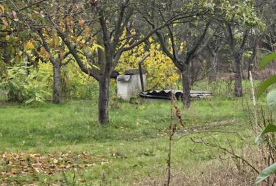 Casă cu 4 camere cu Teren 4000 Mp în Vedea - 5