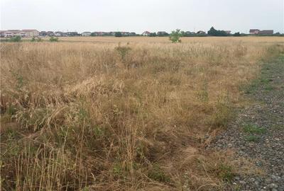 Spațiu comercial, în Sânandrei