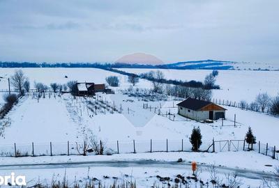 Teren de 9574 mp, în Iacobeni - 1