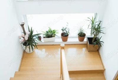 Imobil de vanzare in Chisoda - 3