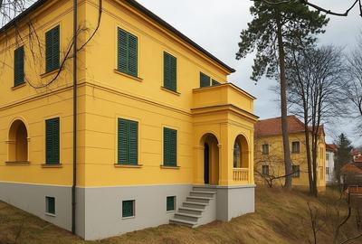 Proprietate Centrală cu Teren 1.124 mp și 462 mp Construiți – Ideală pentru Sedi Proprietate Centrală cu Teren 1.124 mp și 462 mp Construiți – Ideală pentru Sedi - 3