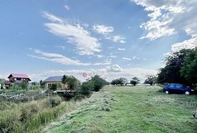 Teren Extravilan - 11