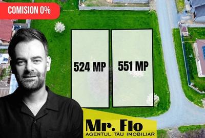 Teren Construcții de 524 mp, în Moșnița Nouă - 1