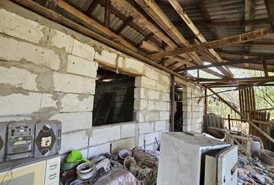 Gospodarie cu 2 case Comuna Trivale Mosteni, sat , la 30 km de Alexandria, jude?ul Teleorman - 8