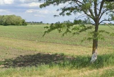 Teren extravilan Cocorastii Colt ; ID: R2710069 - 2