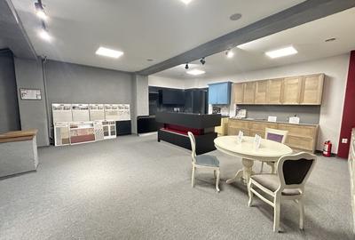 Imobil S+D+P+E+M - Centru - str. Siretului v-a-v de Regina Maria 678mp - 4