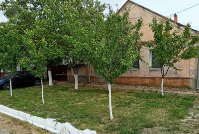 Casă cu 4 camere în Diniaș - 2