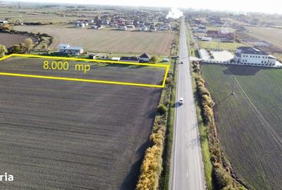 Teren de 8000 mp, în Botiz - 6