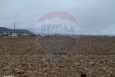Spațiu comercial, în Sud - 2