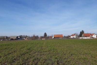 Teren intravilan construibil de vanzare in Lunca Calnicului 2325mp - 5