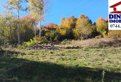 3600 mp teren intravilan, sat Bistrita, 16 Euro/mp - 5