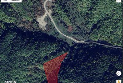 Teren de 20000 mp, în Scorțeni - 1