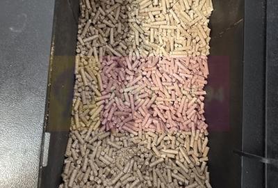 Vila de vacanta cu 4 camere de vanzare in Valea Doftanei - 3