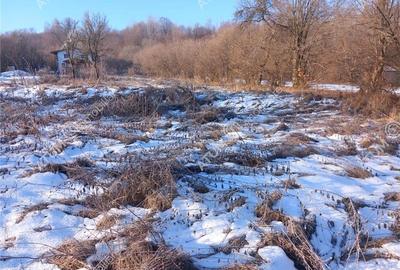 Teren intravilan 2600 mp de vanzare pe Valea Avrigului - 2
