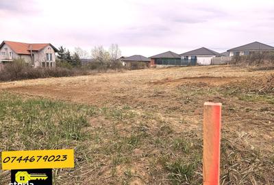 Spațiu comercial, în Paleu - 3