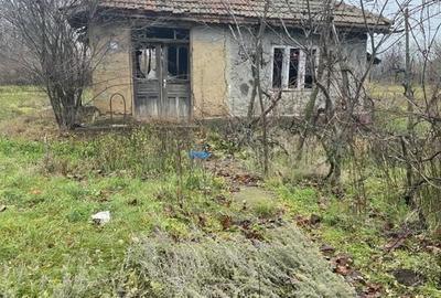 Teren intravilan 3367 mp cu casa demolabile 54 mp puț existent! - 4