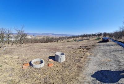 Teren Construcții intravilan de 1400 mp, în 700 - 1