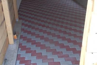 Casă individuală cu 4 camere cu Teren 1561 Mp în Crevedia Mare - 20