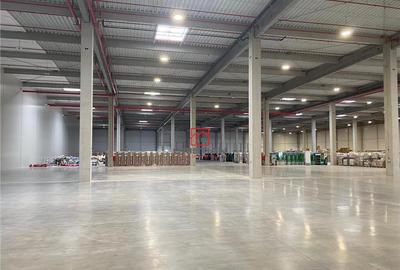 Depozit/hala/spatiu industrial Constanta - Agigea, Constant - 7