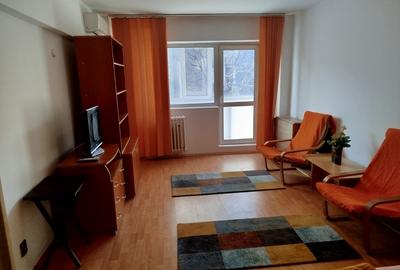 Piata Victoriei, langa guvern, garsoniera - 6