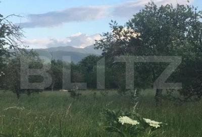 Teren de 993 mp, în Central