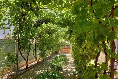 Casă cu 4 camere în Caracal - 4