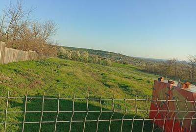 Spațiu comercial, în Cornetu - 4