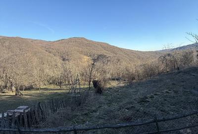 Teren de 1780 mp, în Valea Doftanei