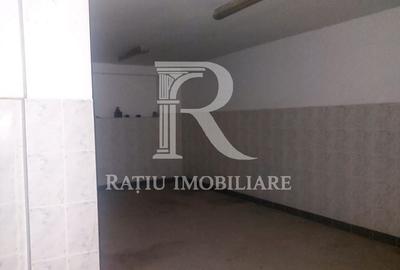 Spațiu comercial, de 850 mp, în Borș - 7