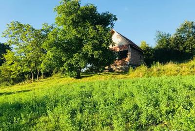 Casa de vacanta 60km de Timisoara - 4
