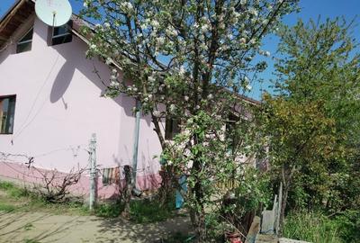 Casă individuală cu 5 camere cu Teren 650 Mp în Bariera Vâlcii - 3