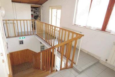 De vanzare casa mare P+M cu anexe in Beius - 4