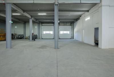 De inchiriat hala industriala/spatiu logistic - Otopeni | 3250 mp total - 5
