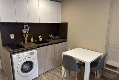Apartament cu o camera in zona Buziasului - 2