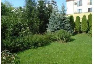 Teren intravilan 645 m.p.Parc Tabacariei Strada Lacului nr. 34 + 34A-de vanzare pret 400.000 Euro - 2