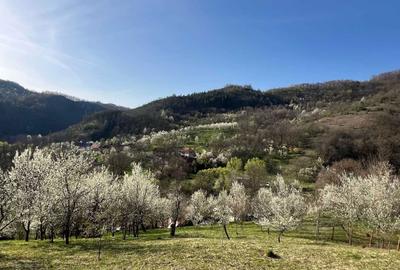 Casă cu 4 camere în Central - 3