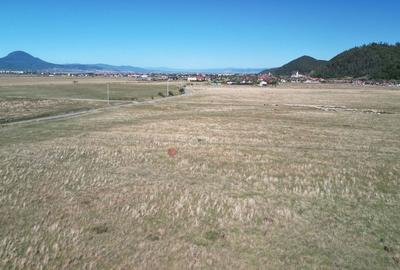 Teren de 14500 mp, în Sud - 8