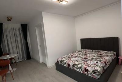 Garsonieră decomandată, mobilată în Theodor Pallady - 1