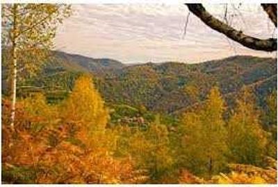 Teren de 16286 mp, în Runcu Mare - 2