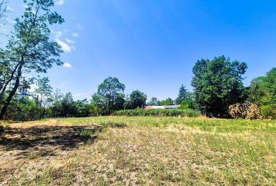 Casa , teren intravilan Urlueni Barla Arges - 5