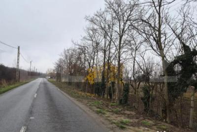 Teren de 2500 mp, în Sud - 5