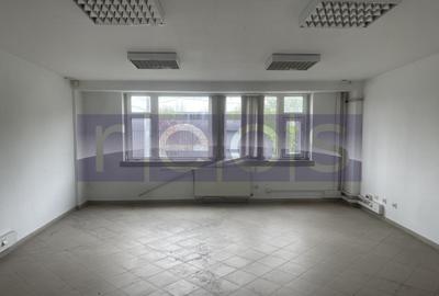 Spațiu industrial, de 19,300 mp, în Odăi - 7
