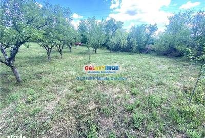 Spațiu comercial, în Dâmbu