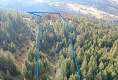 Teren 17,895mp Dorna-Arini / Prelungirea Cozanesti - 2