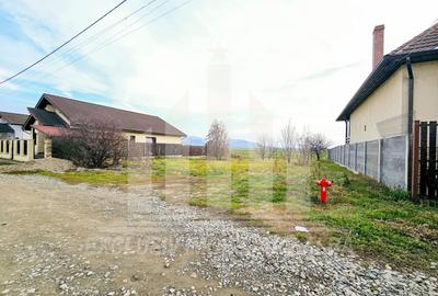 Teren Construcții intravilan de 533 mp, în Exterior Sud - 1