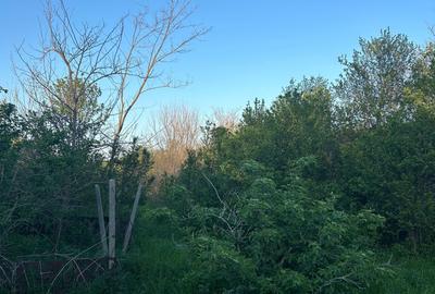 Teren de 2000 mp, în Dumitrești - 2