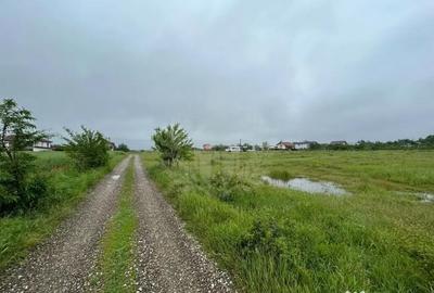 Teren în Păulești - 7