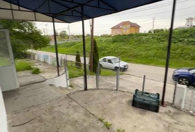 Casă cu 3 camere cu Teren 4000 Mp în Mihăești - 3
